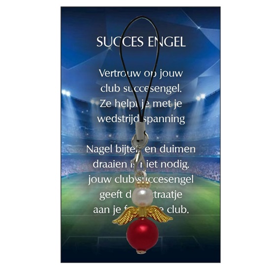 feyenoord succes engel