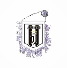 Juventus banier w/z
